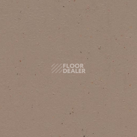 Линолеум Forbo Marmoleum Decibel on Order 358035 milk chocolate фото 1 | FLOORDEALER